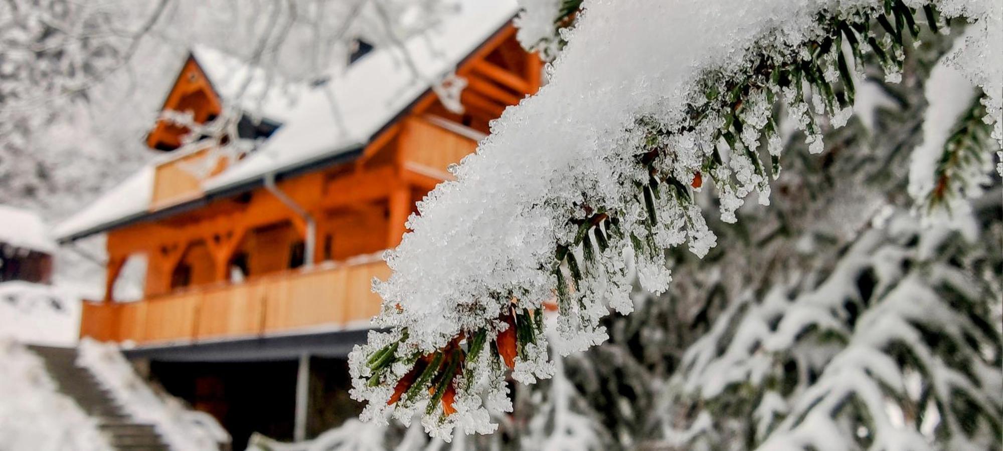Vila Dom Pod Lesniczowka Zachelmie  Exteriér fotografie